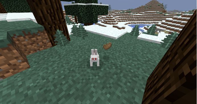 我的世界最难遇的4件物品,我的世界最难获得的20个物品