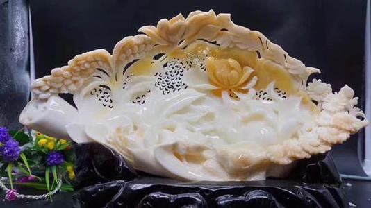 砗磲为何禁销,砗磲市场