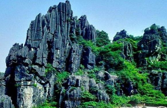 江阳区景点,元江有哪些旅游景点免费