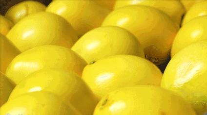 梅州蜜柚新鲜水果红肉柚子,正宗梅州红心蜜柚新鲜