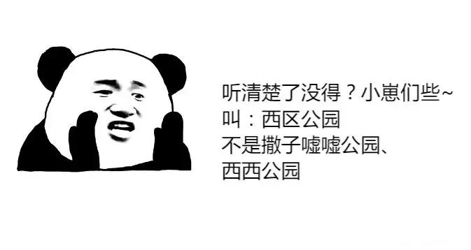 记忆中的重庆美景,重庆九龙坡记忆