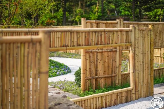 深圳史上最大最美的花展来啦,走进深圳仙湖植物园的国际花展