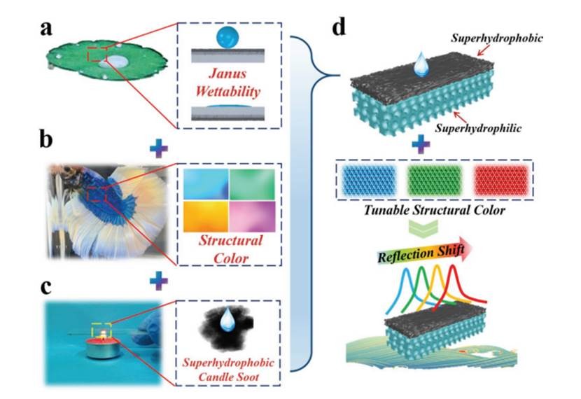 南师大的专项技术有哪些,南大科研成果入选十大科技进展