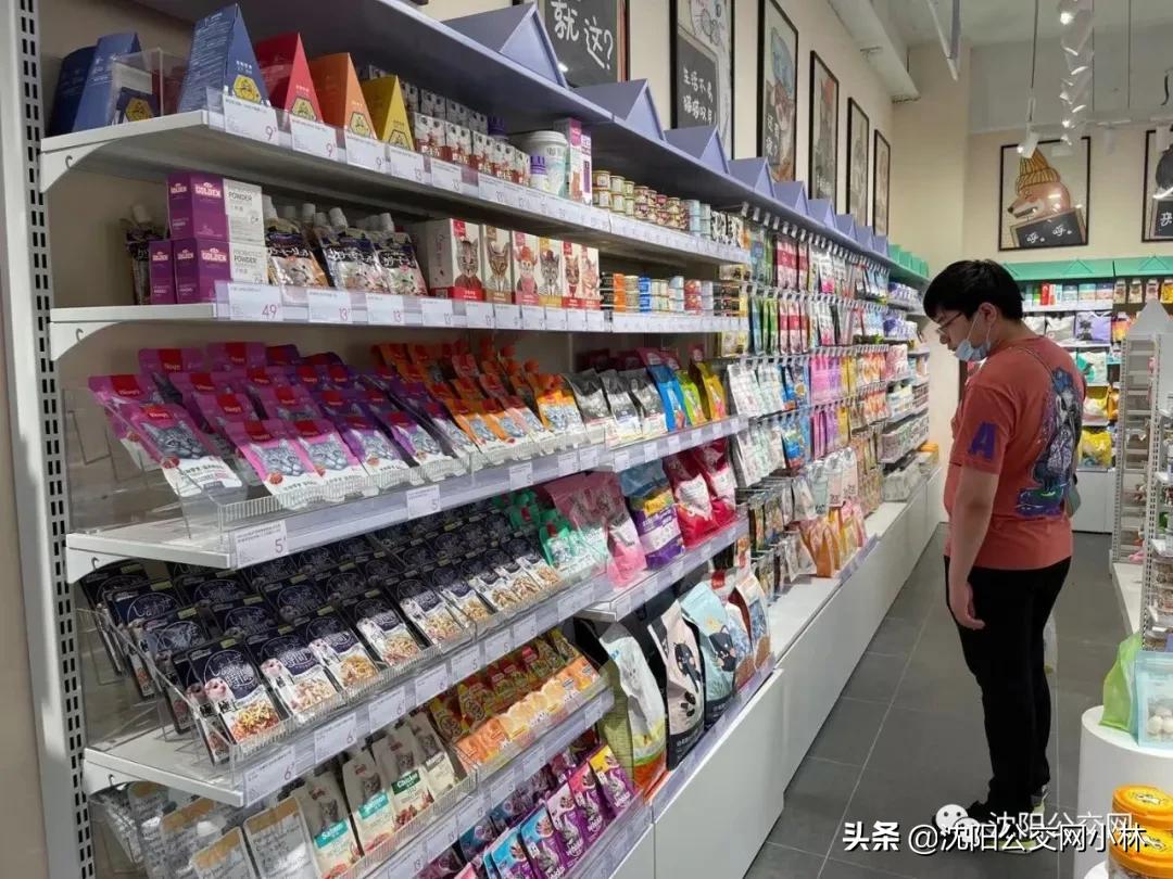 玫瑰大酒店中街,玫瑰大酒店在哪