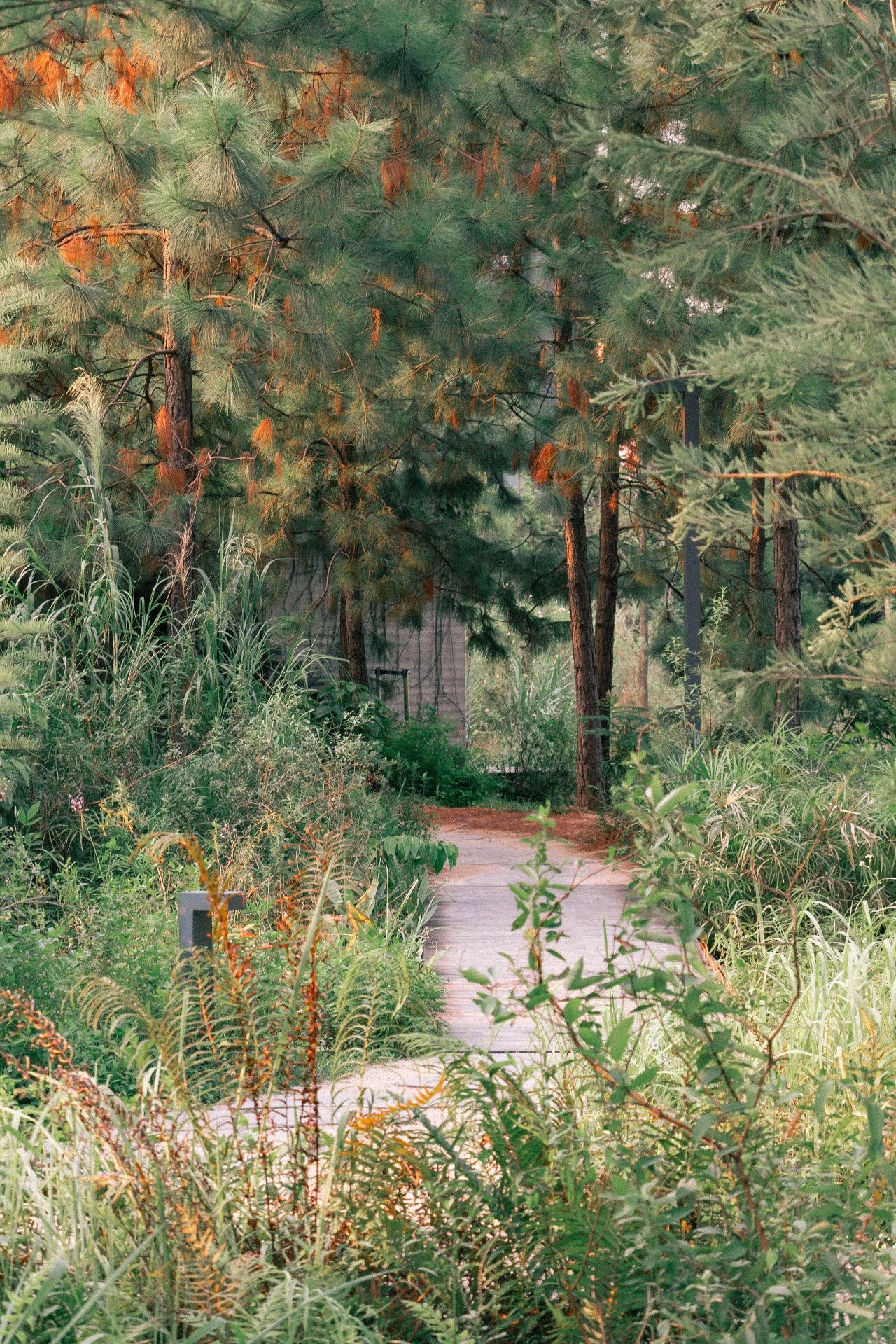 深圳夜晚小众打卡地景点,深圳十个小众打卡地