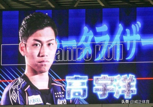 日本归化球员高宇洋,高宇洋加盟新泻天鹅