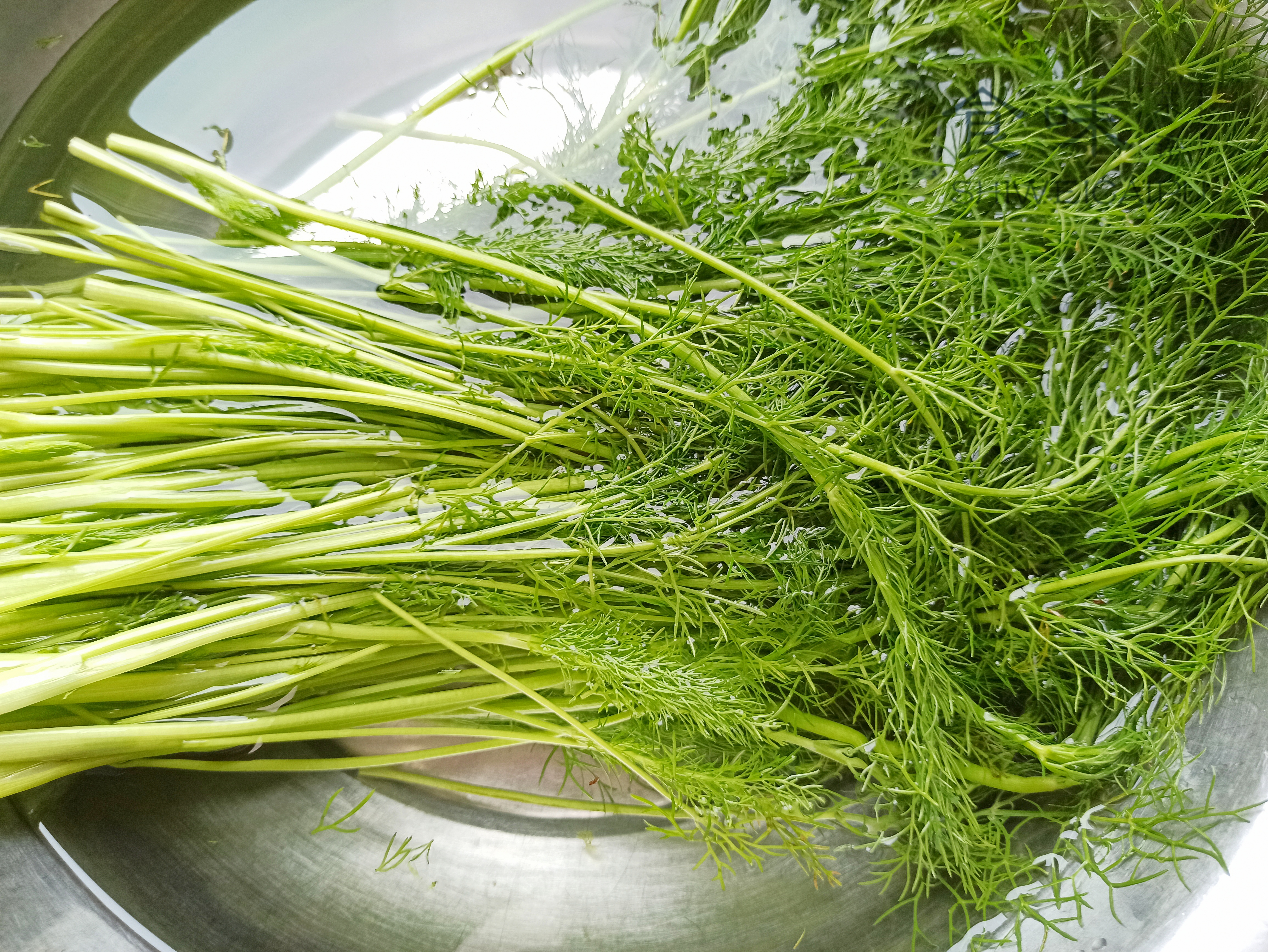 春天家常蒸菜100道不上火,春季有哪些蒸菜做法好吃