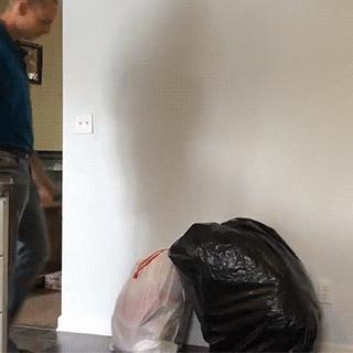 4.1愚人节整蛊规矩,愚人节被整蛊怎么办