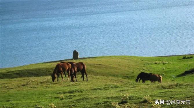 回归的日子伊犁之骑行