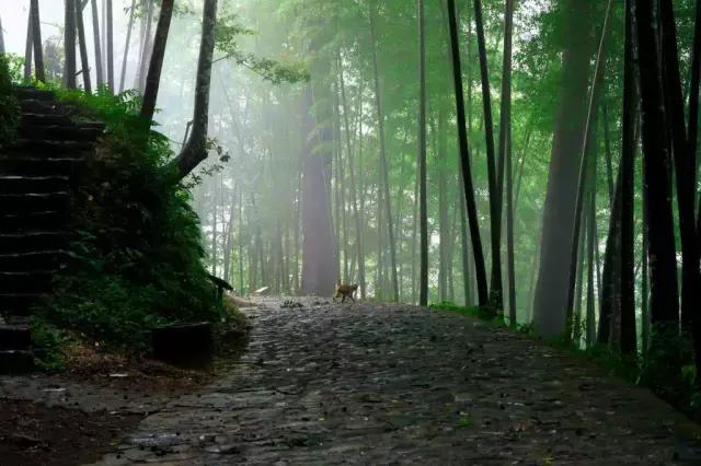 厦门有避暑的地方吗,厦门清凉避暑好去处推荐