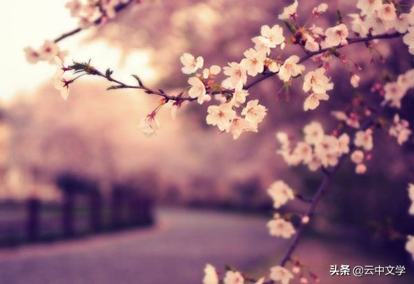 中华成语全套,中华成语大全书籍