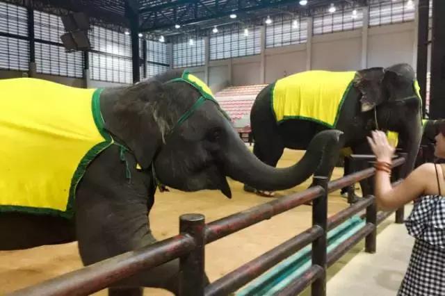 春节好玩的地方推荐泰国,泰秘泰国之旅