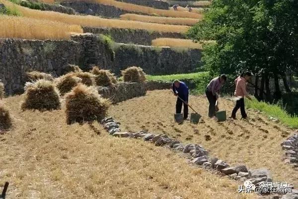 栖霞的美食,栖霞有哪些好吃的美食
