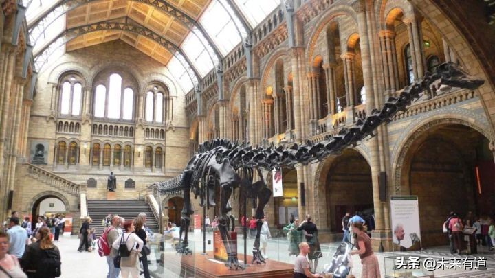 英国伦敦大学学院怎样,一张图读懂英国伦敦大学学院