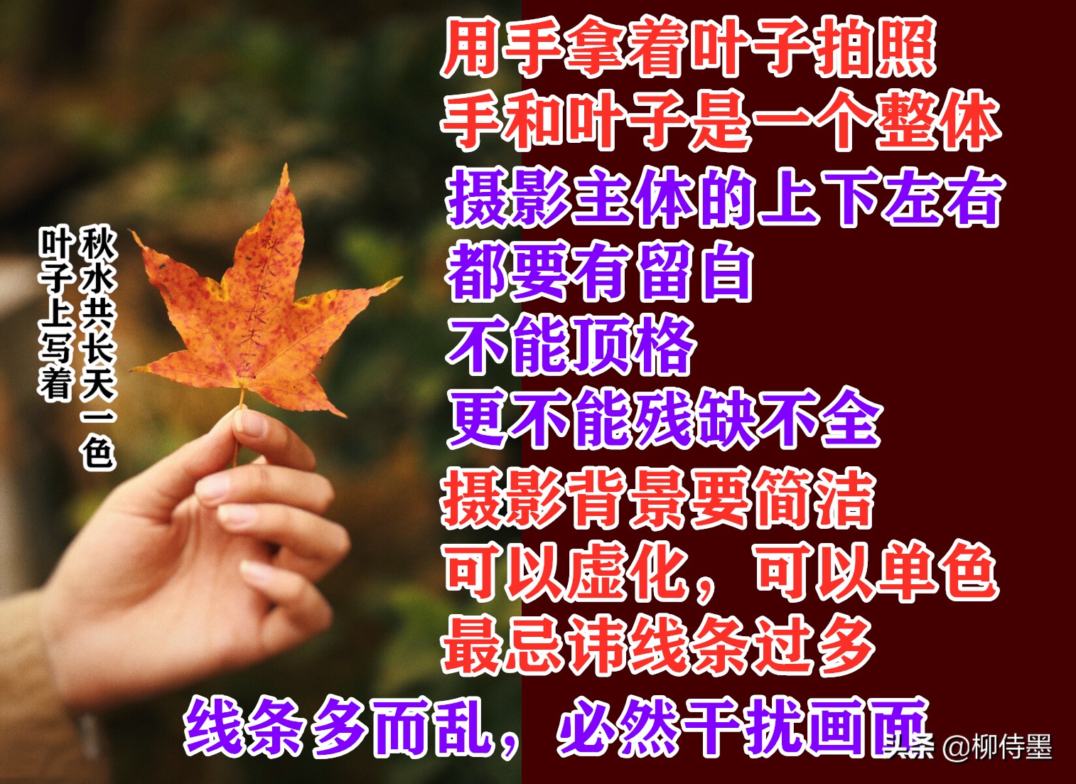 摄影新手如何拍摄照片教程,新手学习摄影入门第一步