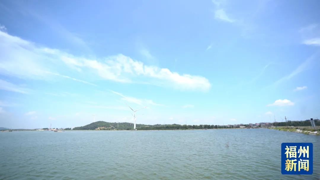 年产值超7000万元！来看沙埔镇这个渔村的“致富密码”