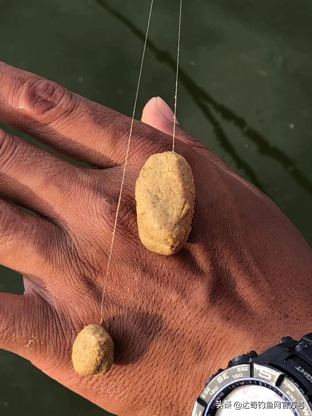 鱼情复杂怎么调漂,适合各种鱼情的四种调钓方法