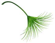 “筑梦乡村•幸福同行”碧桂园•英德连铁古驿道公益徒步活动