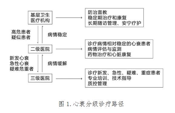 最新心力衰竭指南解读,急慢性心力衰竭诊疗指南解读
