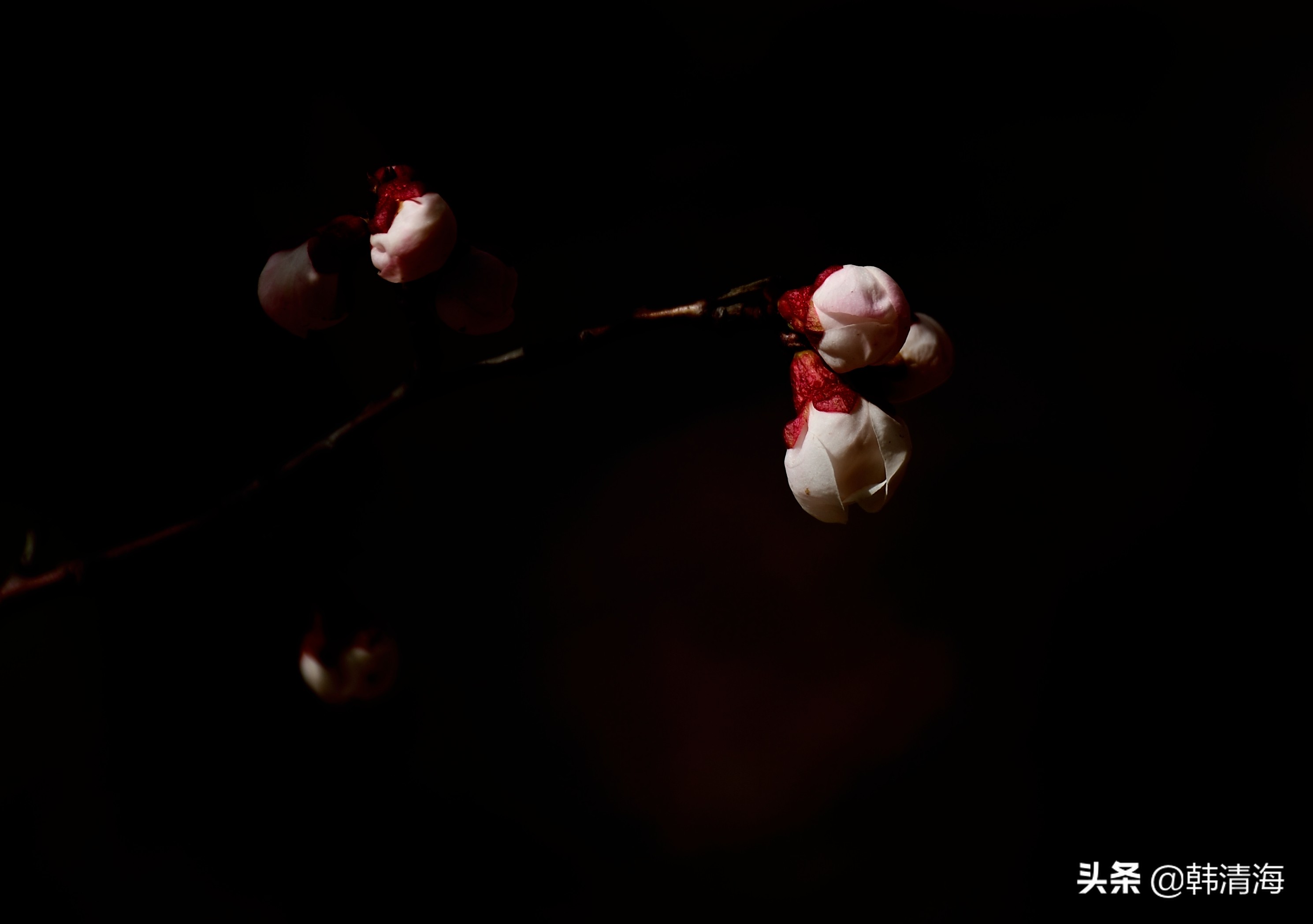 天津市南开区水畔花园简介,天津南开水畔花园洋房