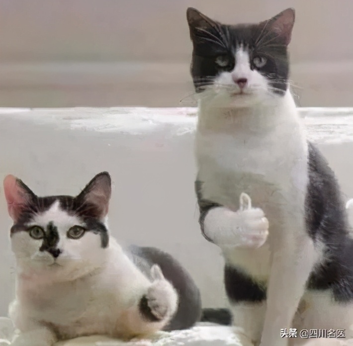 华西睡眠科真能治疗失眠吗,并不是所有的睡不着都叫失眠