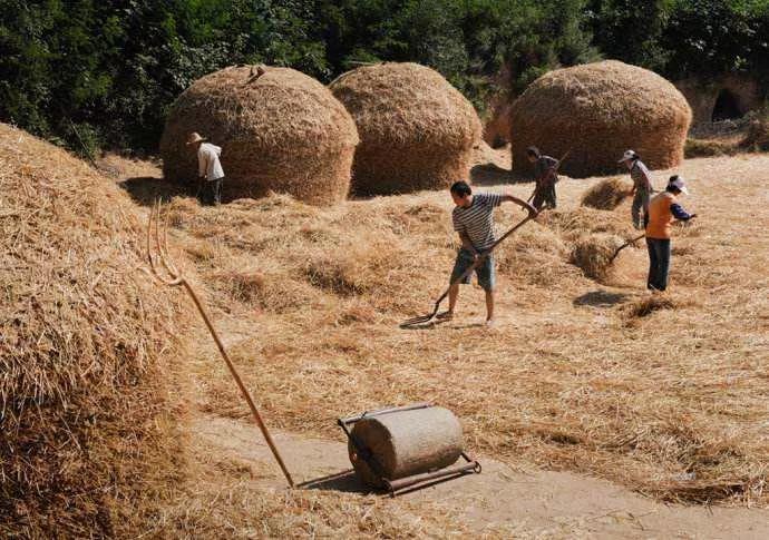 一个70后的自白,80后曾经的小学生活真实写照