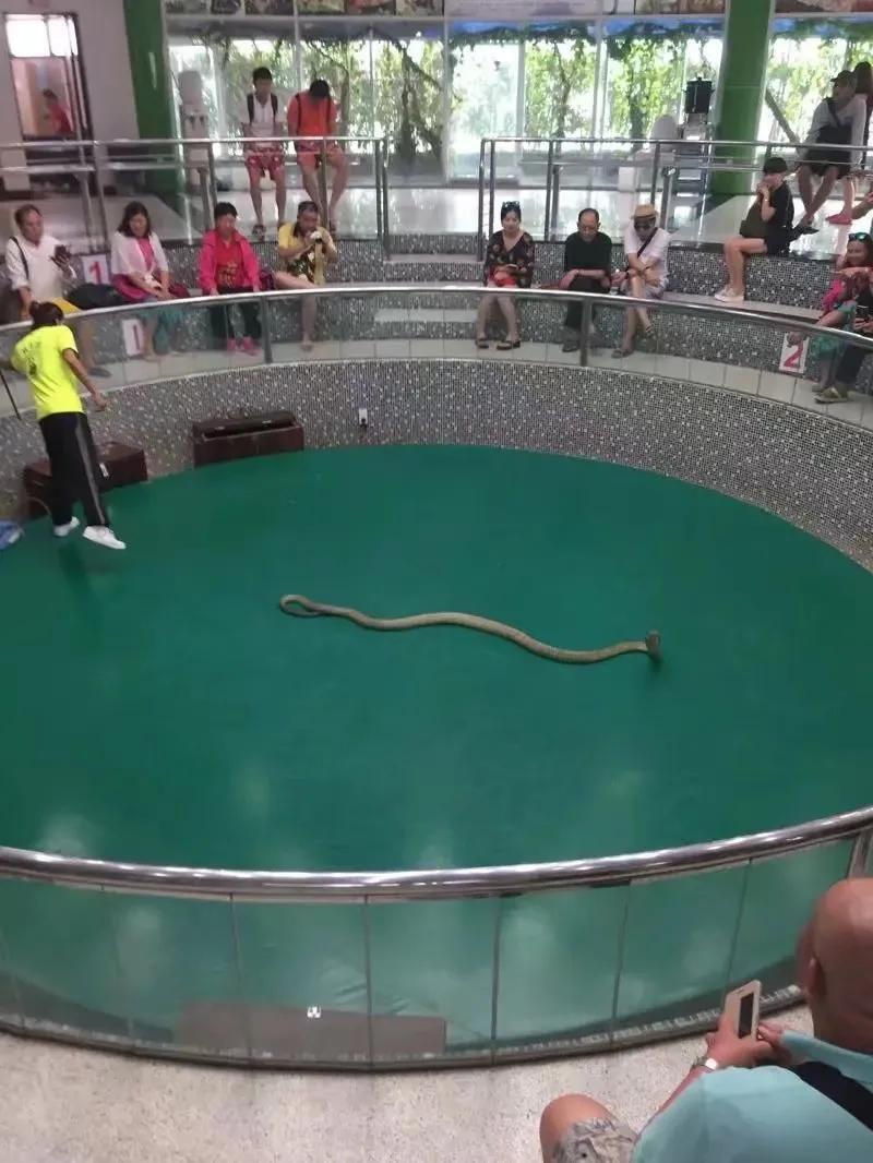 来普吉岛后感觉好难受,普吉岛最后一天购物