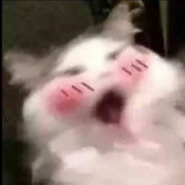 谁说生理期不能碰冷水,谁说生理期不能运动