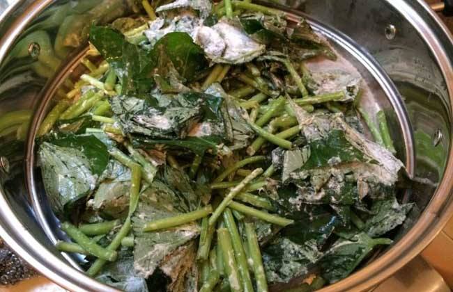 暑假之乐,暑假之趣600字