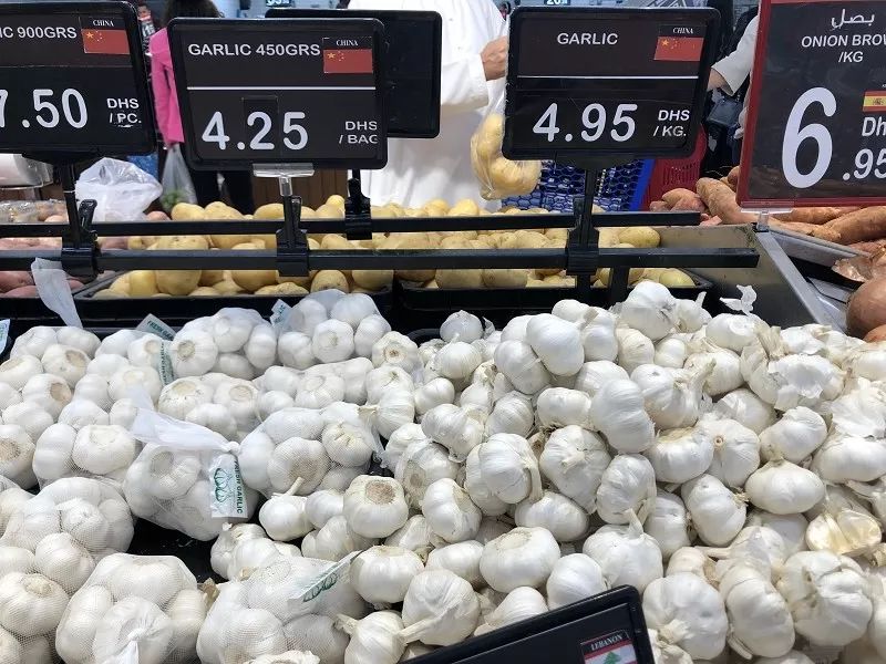 新加坡和迪拜生活成本,迪拜生活费用价目表