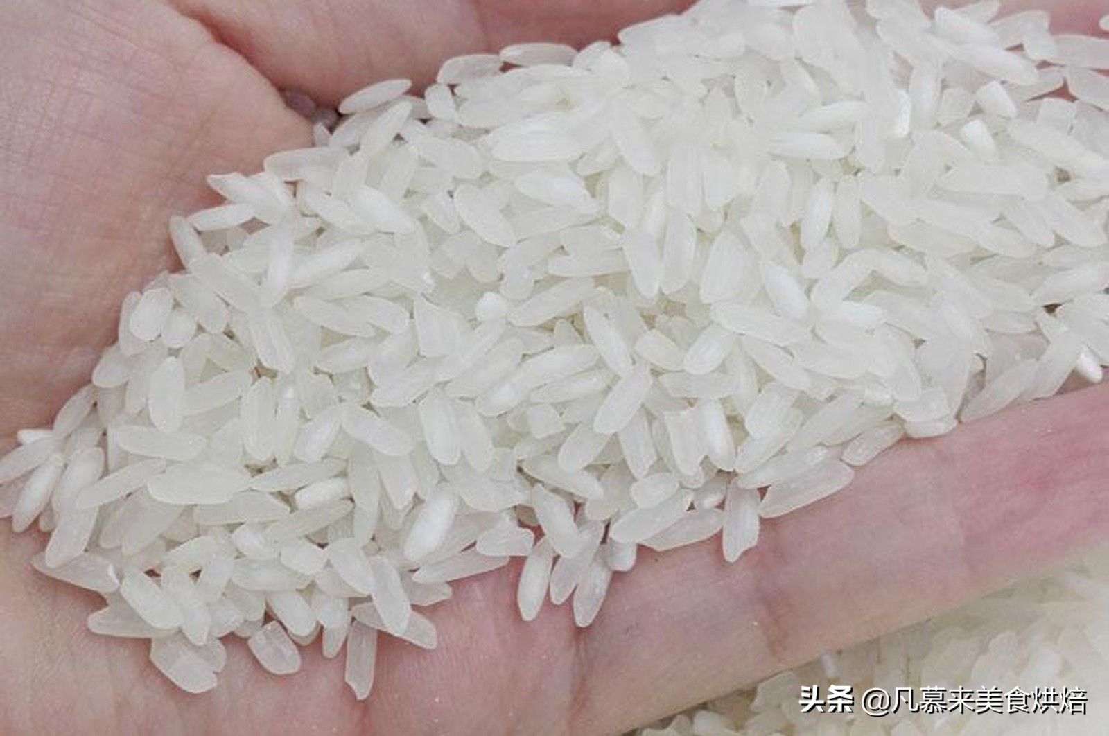 如何选购大米？怎样辨别大米是否是正品？学会这7步保证买正品米