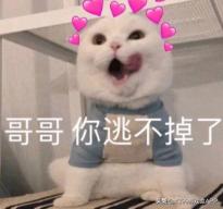 七夕各大游戏福利,每个游戏在七夕有什么福利