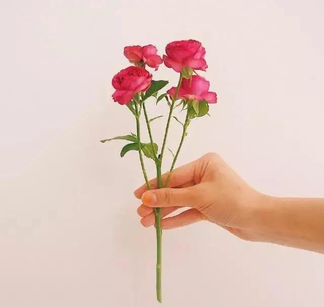 问候情人早安晚安暖心话,跟情人说晚安暖心话的句子