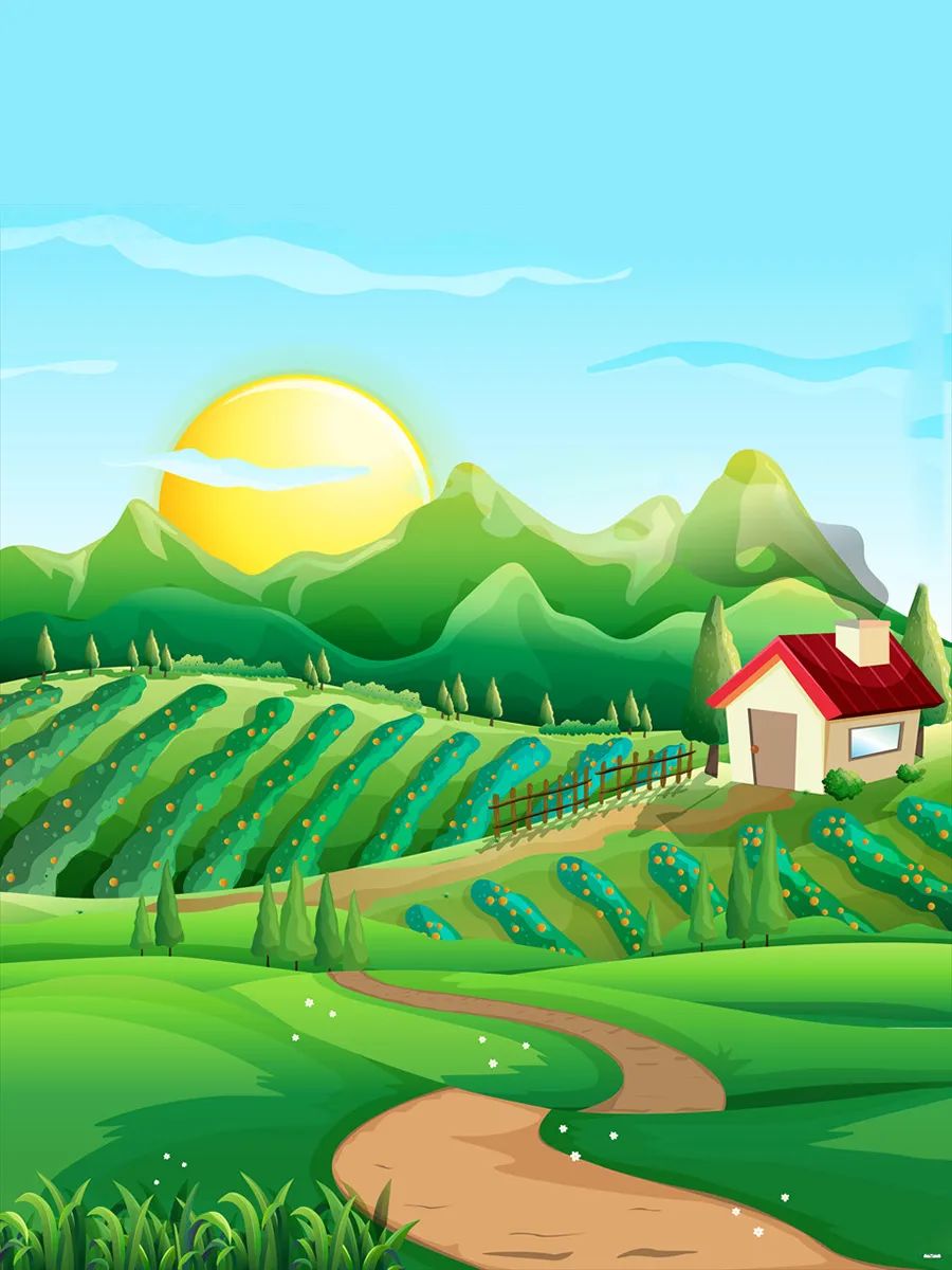 国家安全观国土安全,国家安全和国土安全委员会