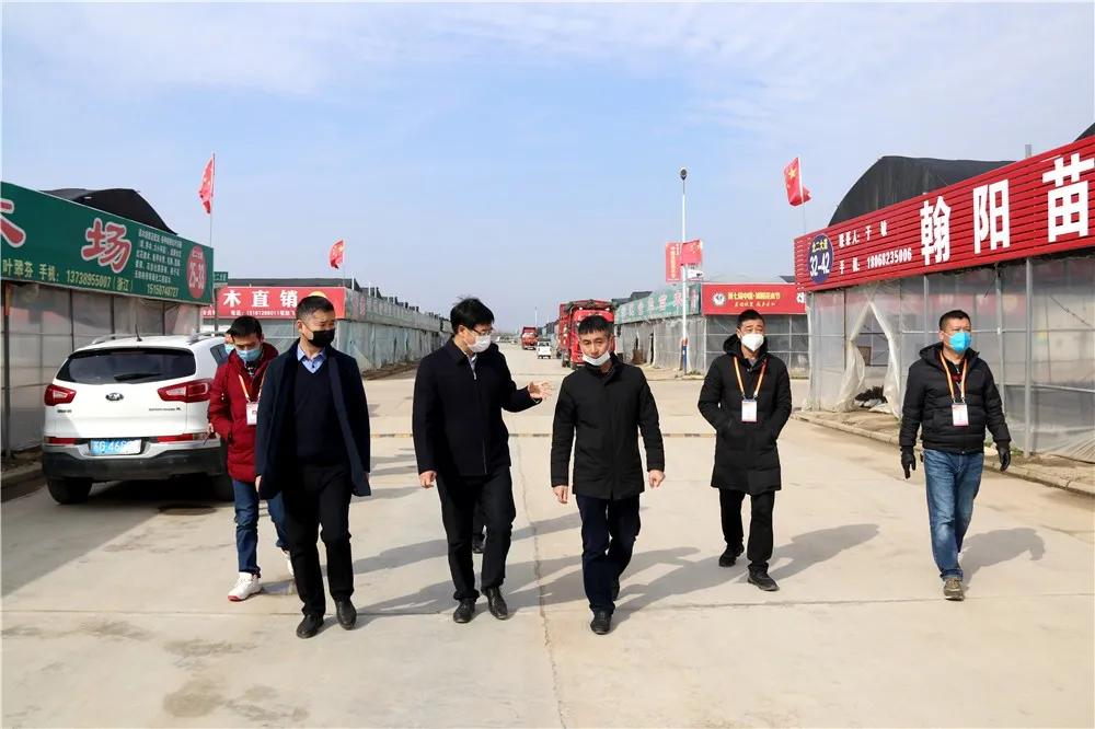 宿迁市沭阳县沭阳国际花木城,沭阳国际花木城布局