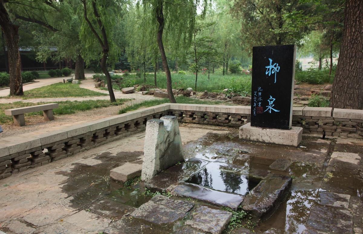 山东有哪些名小吃,山东淄博地区名吃