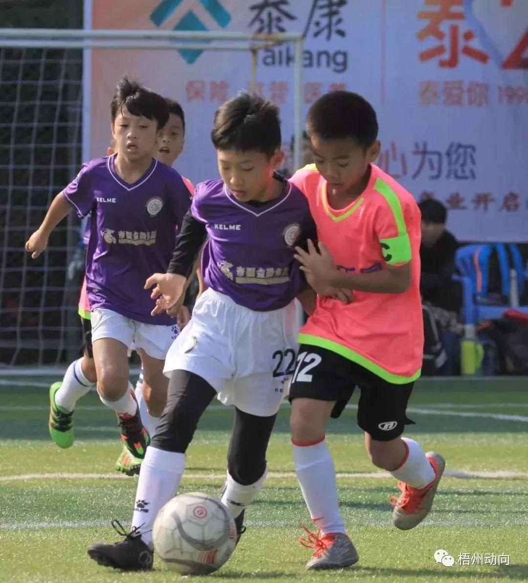 足球训练营公益,足球训练公益项目