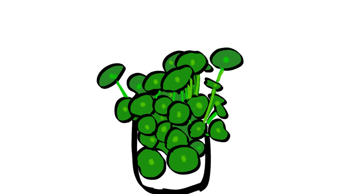 尿路结石发作立马缓解的方法,尿路结石疼怎么快速止痛小妙招