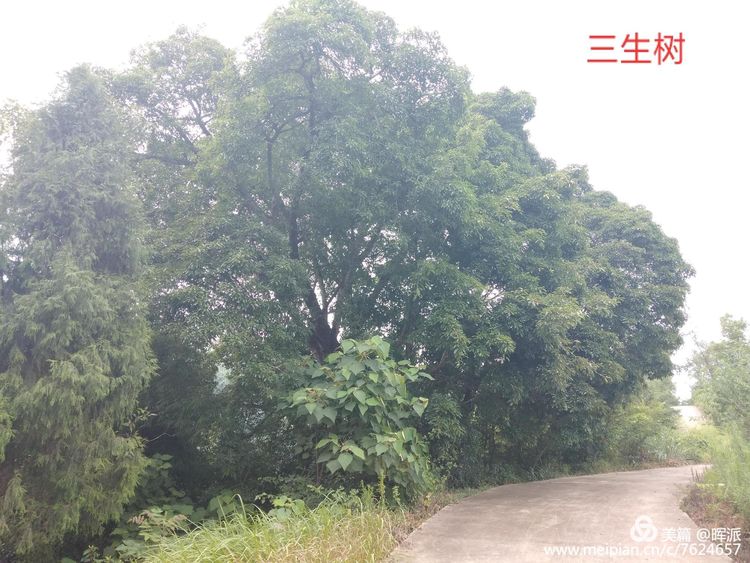 御见江南足浴店,御见江南