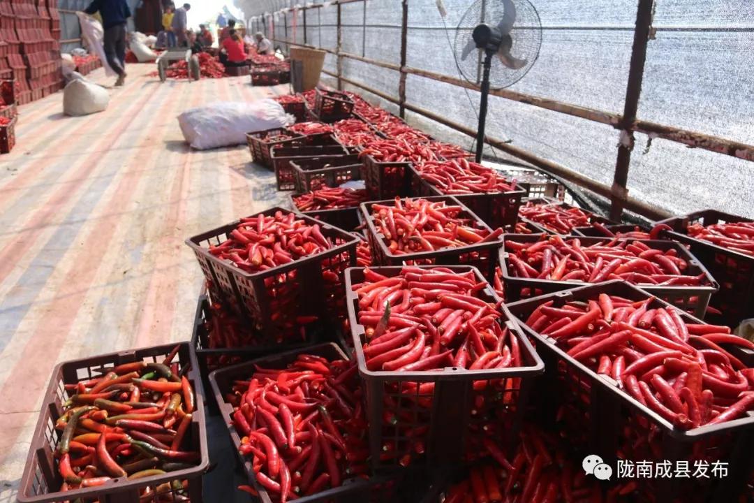 乡镇推动传统产业提档升级,乡镇多举措促进产业转型