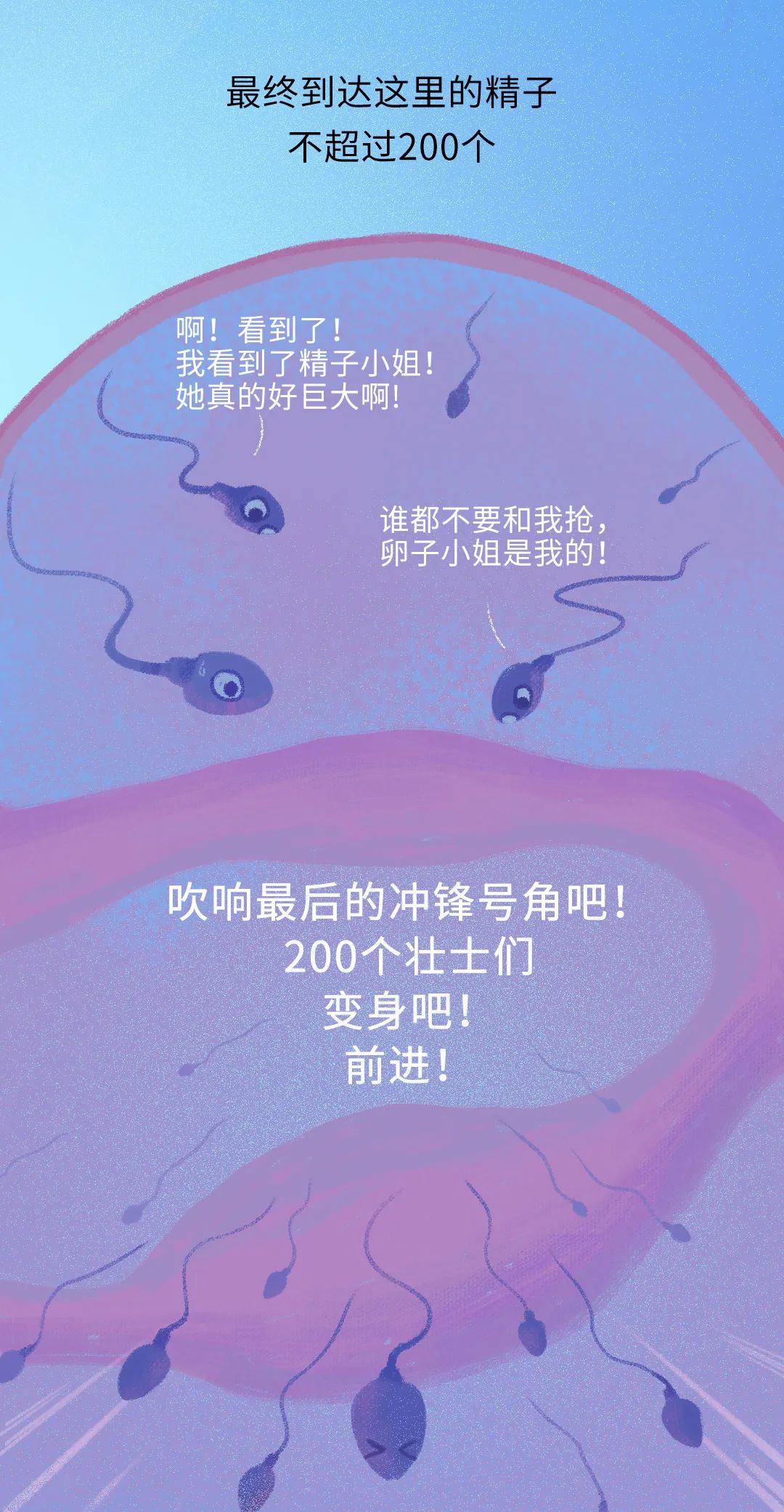 精子进入人体24小时变化,精子在人体24个小时都经历了什么