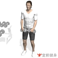 获取一周瘦4斤新手健身计划,初级力量训练计划一周表