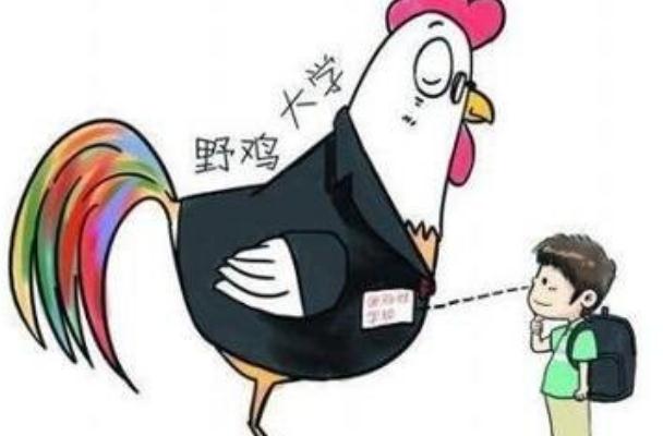 河北省的野鸡大学的名单,河北省野鸡大学名单曝光