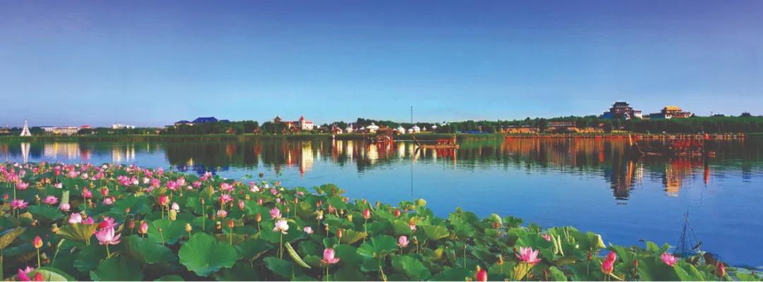 这位宝藏男孩是咱老乡！