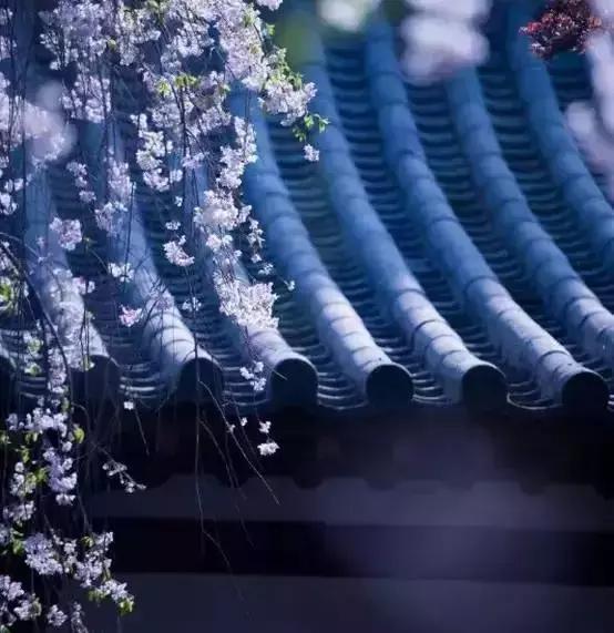 为人处世智慧增广贤文,处世奇书《增广贤文》原文