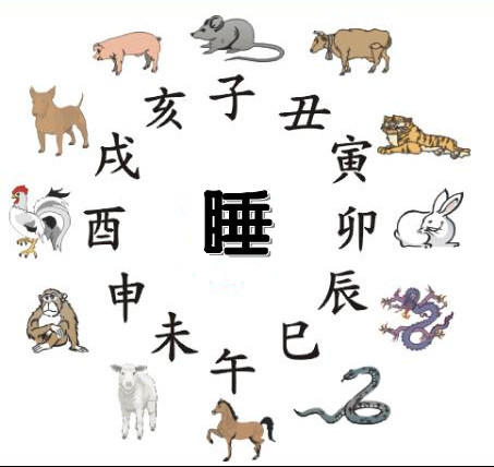 十二生肖排序2019年属什么的,十二生肖排序表2021年属什么生肖