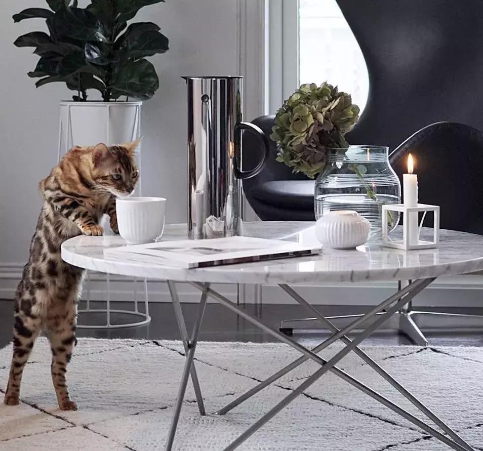 stelton水壶,北欧风水壶推荐哪款