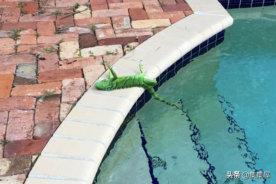 天空下起钞票雨这笔巨款从哪来的,15个从天上掉下来的诡异东西
