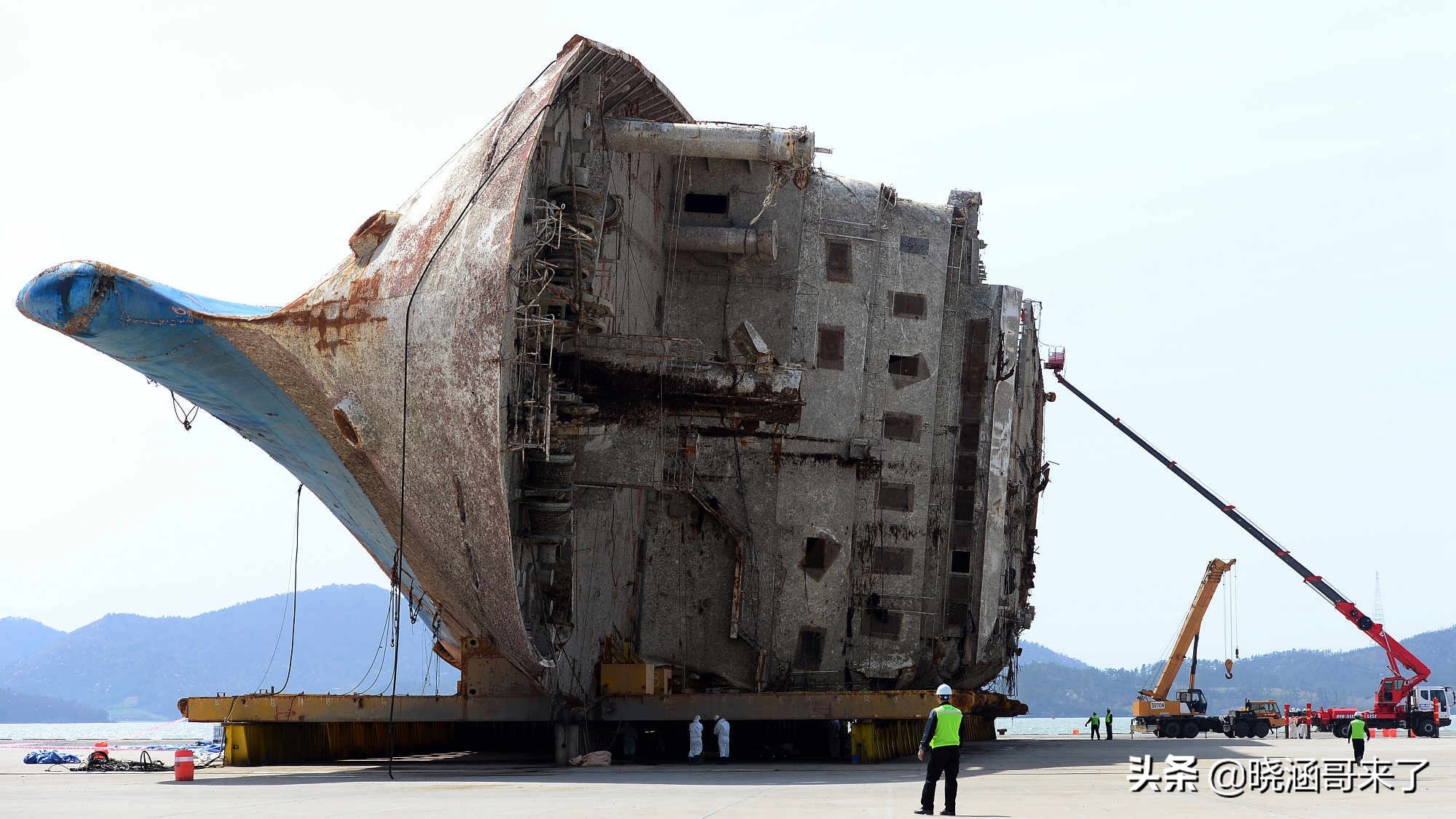 韩国世越号为什么学生不弃船,韩国世越号事件真相
