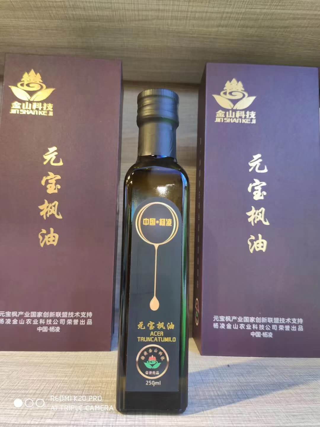 天然脑黄金元宝枫籽油,元宝枫籽油神经酸正品